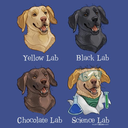 Science Lab