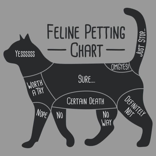 Feline Petting Chart