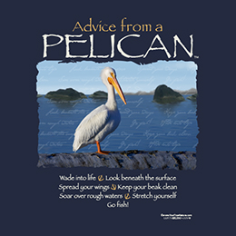 Navy Blue Advice Pelican T-Shirt 