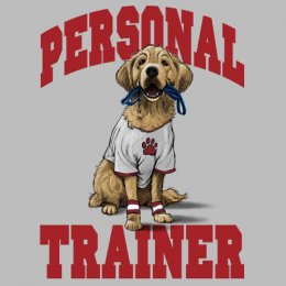 Sports Grey Personal Trainer T-Shirt 