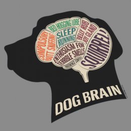 Graphite Heather Dog Brain T-Shirt 