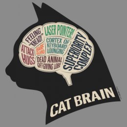 Graphite Heather Cat Brain T-Shirt 