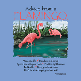 Carolina Blue Advice from a Flamingo T-Shirt 
