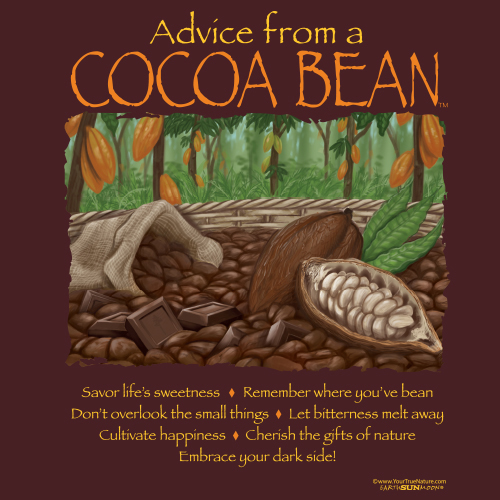 Advice from a Cocoa Bean