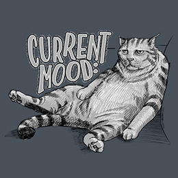 Heather Navy Current Mood Cat: Blergh T-Shirt 