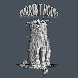 Heather Navy Current Mood Cat: Soggy T-Shirt 