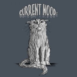Dark Heather Current Mood Cat: Soggy T-Shirt 