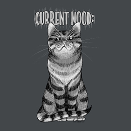 Dark Heather Current Mood Cat: Judgy T-Shirt 