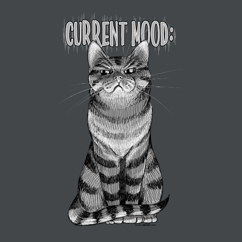 Current Mood Cat: Judgy