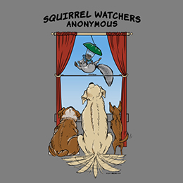 Graphite Heather Squirrel Watchers Anonymous T-Shirt 