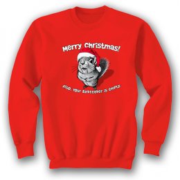 Red Christmas Excuse Me Squirrel Sweatshirts 