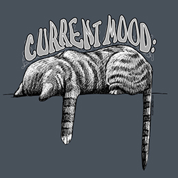 Dark Heather Current Mood Cat: Faceplant T-Shirt 