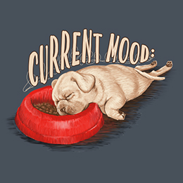 Heather Navy Current Mood Dog: Ruff Day T-Shirt 