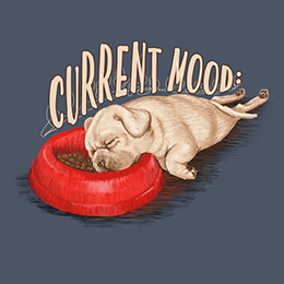 Steel Blue Current Mood Dog: Ruff Day T-Shirt 
