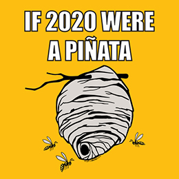 Gold 2020 Piñata T-Shirt 