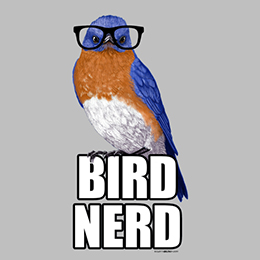 Heather Grey Bird Nerd T-Shirt 