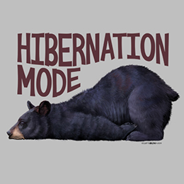 Sports Grey Hibernation Mode T-Shirt 