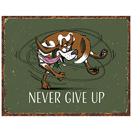 NA Never Give Up Tin Sign 