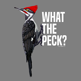 Graphite Heather What The Peck T-Shirt 