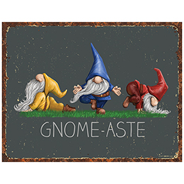 NA Gnome-aste Tin Sign 