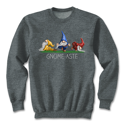 Gnome-aste