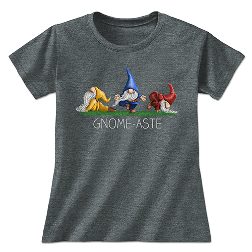 Gnome-aste