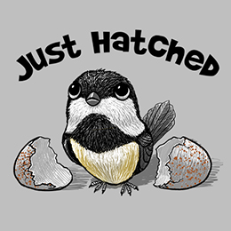 Sports Grey Just Hatched T-Shirt 