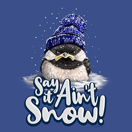 Royal Blue Say it Ain't Snow T-Shirt 