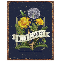 NA Just Dandy Tin Sign 