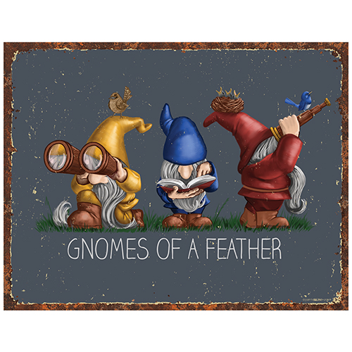 Gnomes of a Feather