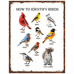 NA How to Identify Birds Tin Sign 