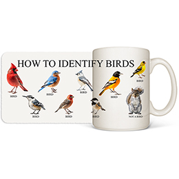 White How to Identify Birds Mugs 