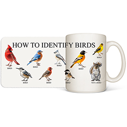 White How to Identify Birds Coffee Mugs 