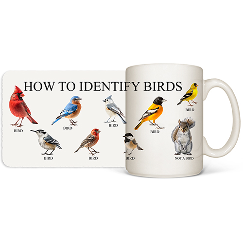 How to Identify Birds