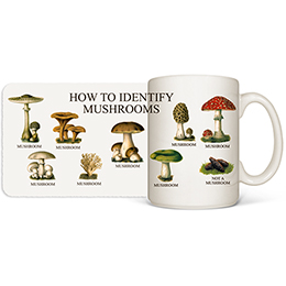 White How to Identify Mushrooms Coffee Mugs 