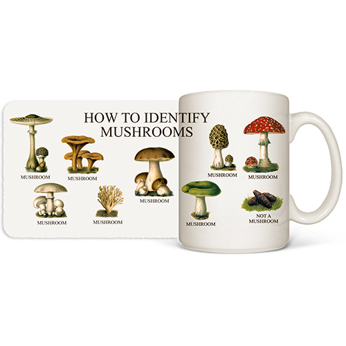 How to Identify Mushrooms