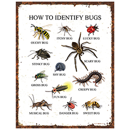 NA How to Identify Bugs Tin Sign 