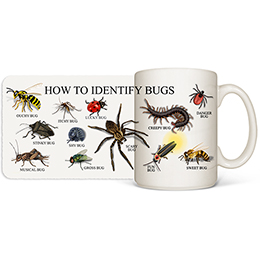 White How to Identify Bugs Mugs 