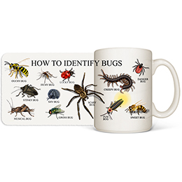 White How to Identify Bugs Coffee Mugs 