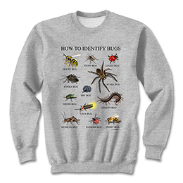 Sports Grey How to Identify Bugs T-Shirt 