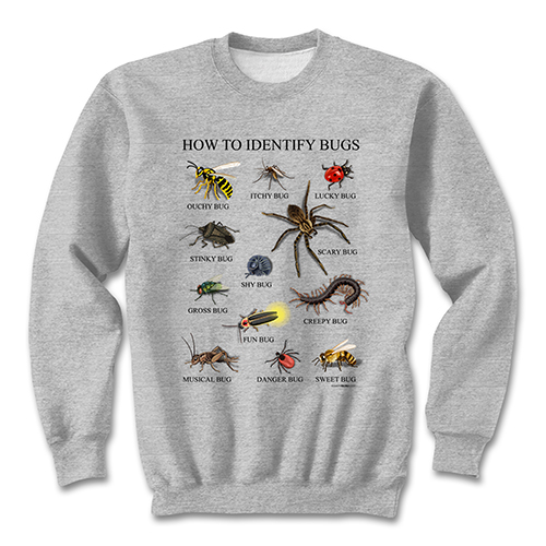 How to Identify Bugs