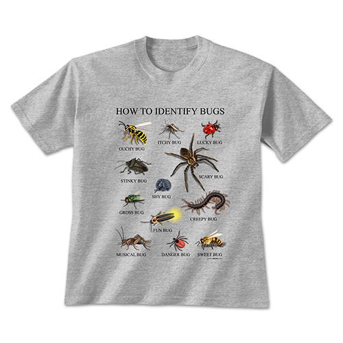 How to Identify Bugs