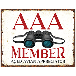 NA AAA Member Tin Sign 