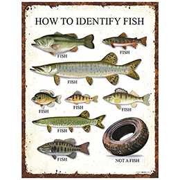 Clear How to Identify Fish Tin Sign 