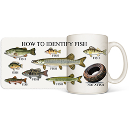 White How to Identify Fish Mugs 