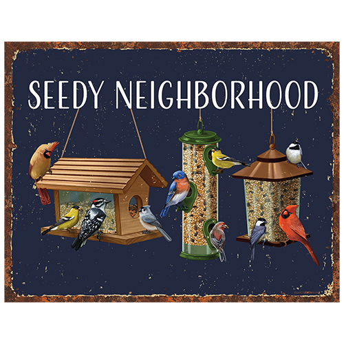 Seedy Neighboorbood