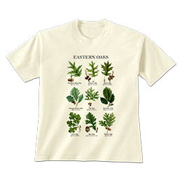 Natural Eastern Oaks T-Shirts 