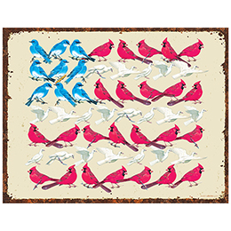 NA Bird Flag Tin Sign 