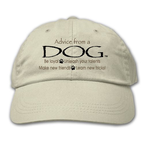 Advice From A Dog