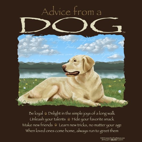 Advice From A Dog